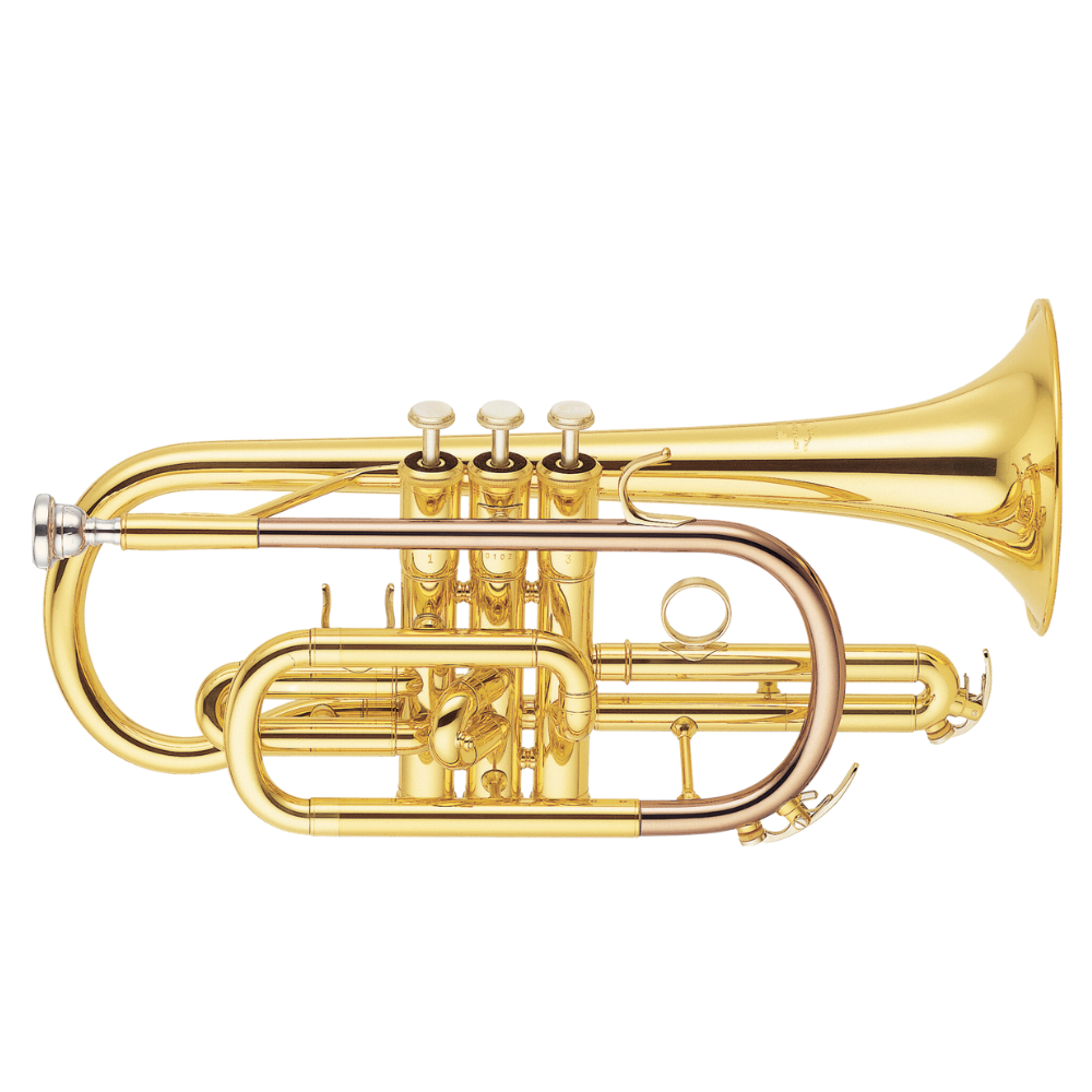 Cornet